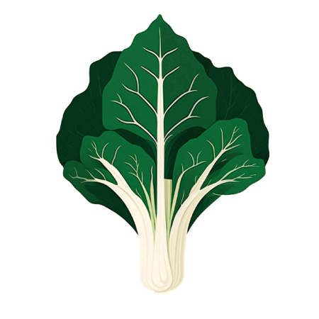 Bok-Choy-PNG