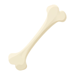 Bones
