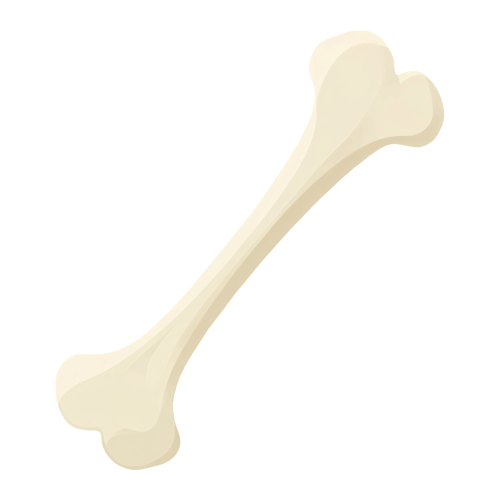 Bone-PNG Bones