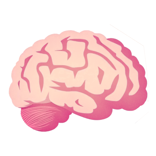 Brain-2PNG https://www.almeringdev.nl/calicount/