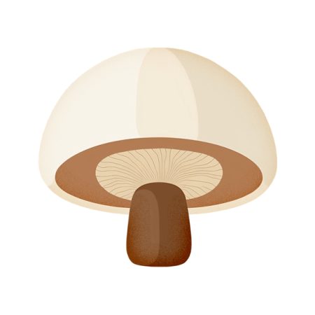 Button-Mushroom