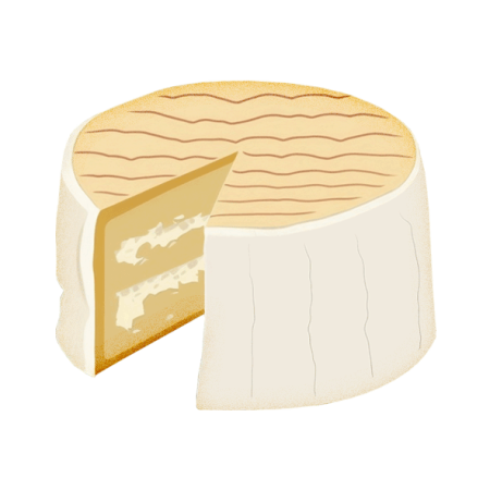 Camembert