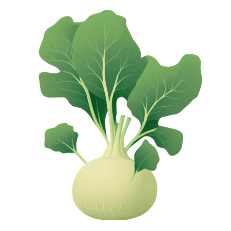 Kohlrabi-PNG