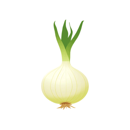 Pearl-Onion-PNG