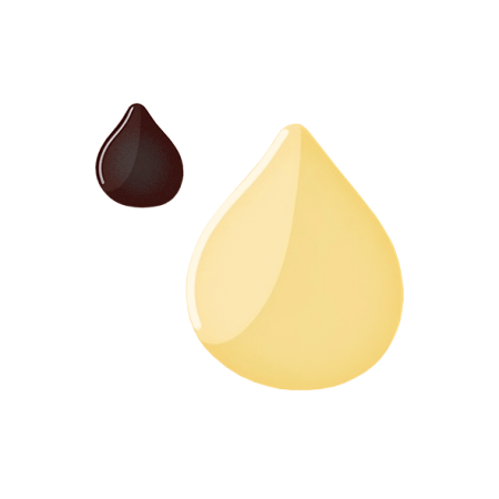Sesame-Nut-PNG
