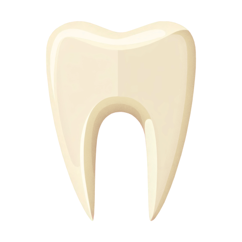 Tooth-PNG Teeth